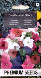 Petunia Dwarf F2 Mixed Seed